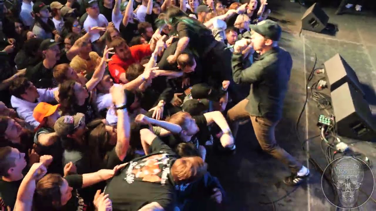 Fiddlehead // Tied Down Detroit 2025 // 05.31.25