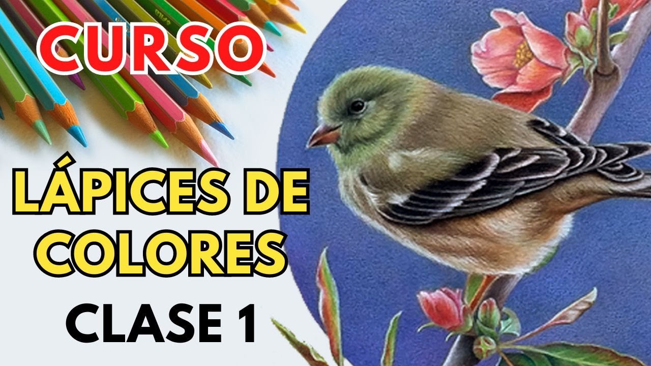 Clase 1: Dibujo ✏️ Curso Gratis de Lápices de Colores│Natalia Suárez 🎨