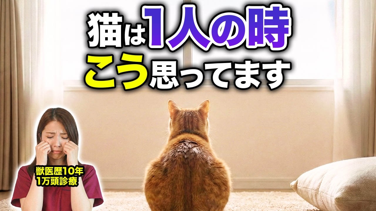 猫が留守番中に一人で感じている“本当の気持ち”はコレです