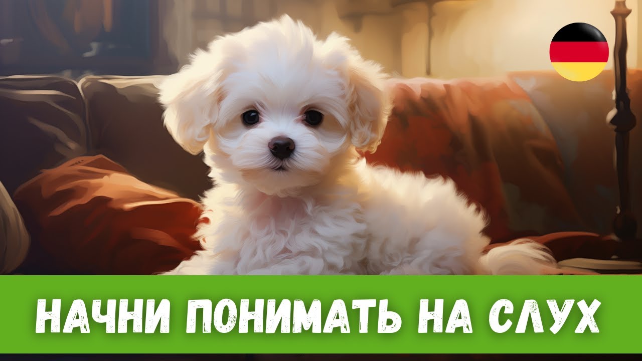 Обучающий Рассказ на Немецком с Переводом | Немецкий на слух
