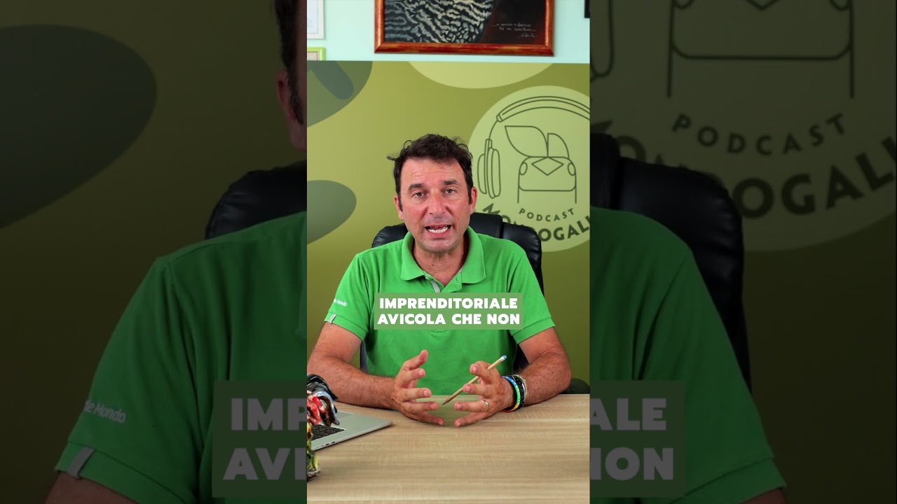 Perch&eacute; tanti abbandonano il loro sogno avicolo (e come evitarlo davvero!)