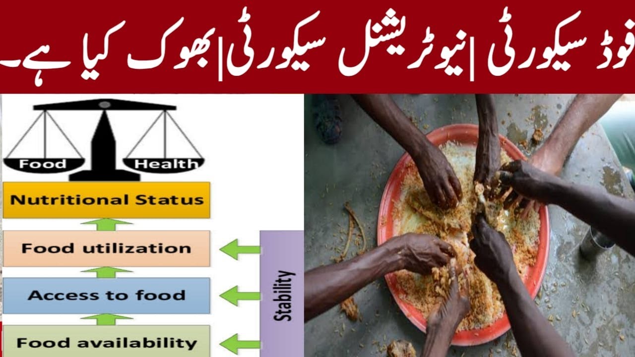 Food Security|Food Insecurity|Nutritional Security & Hunger|فوڈ سیکورٹی نیوٹریش سیکورٹی|بھوک کیا ہے۔