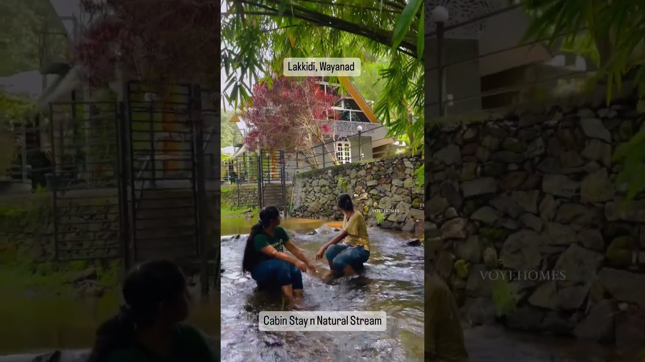 Monsoon Experiences - Stream Side Resort in Wayanad - The Cove Lakkidi by VOYE HOMES