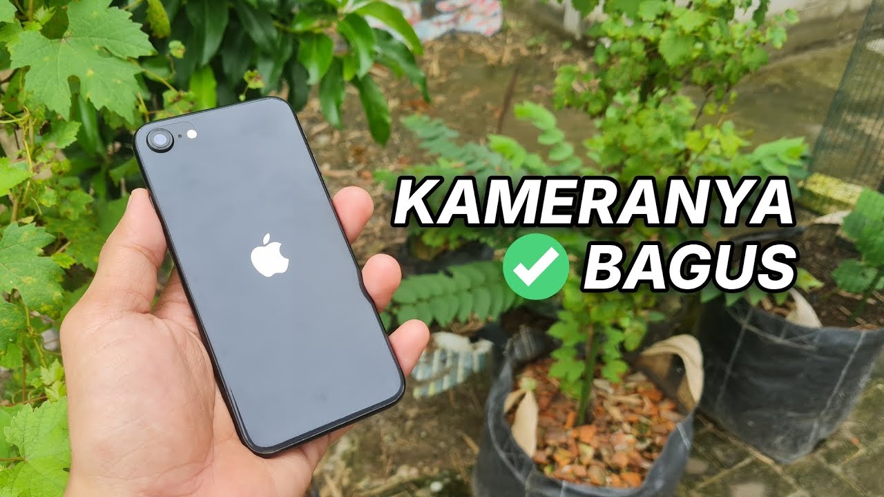 Hanya 2 Juta! Review iPhone SE 2020 di 2025