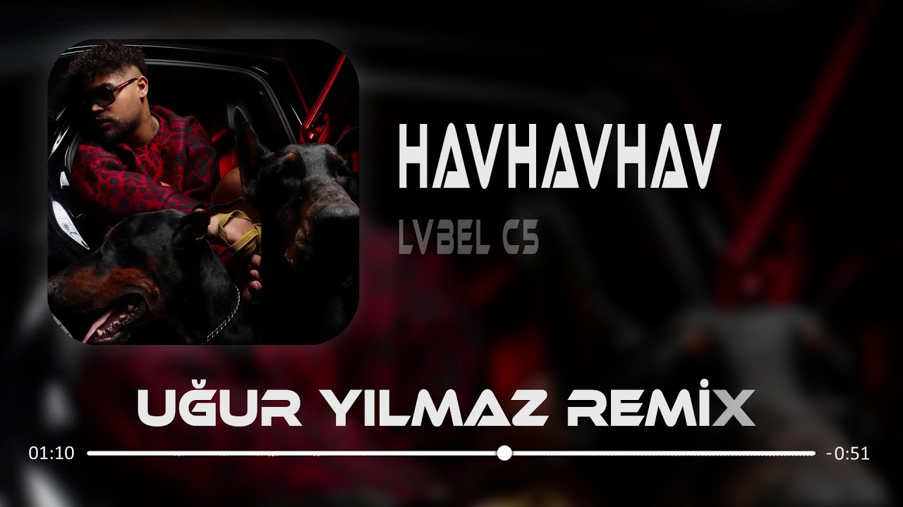 Onlar Arkadan Havlarlar - Lvbel C5  ( Uğur Yılmaz Remix ) Hav Hav Hav.