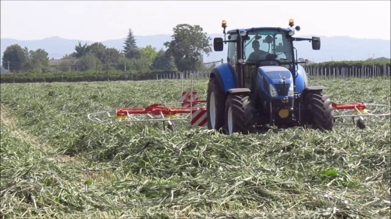 | VOLTATURA SORGO ZUCCHERINO 2016 |