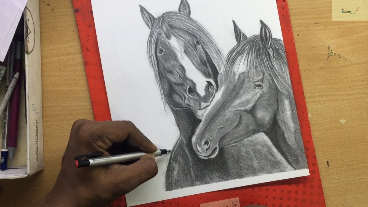 Horse ( Pencil Drawing )  ||  PRAVEEN  ||