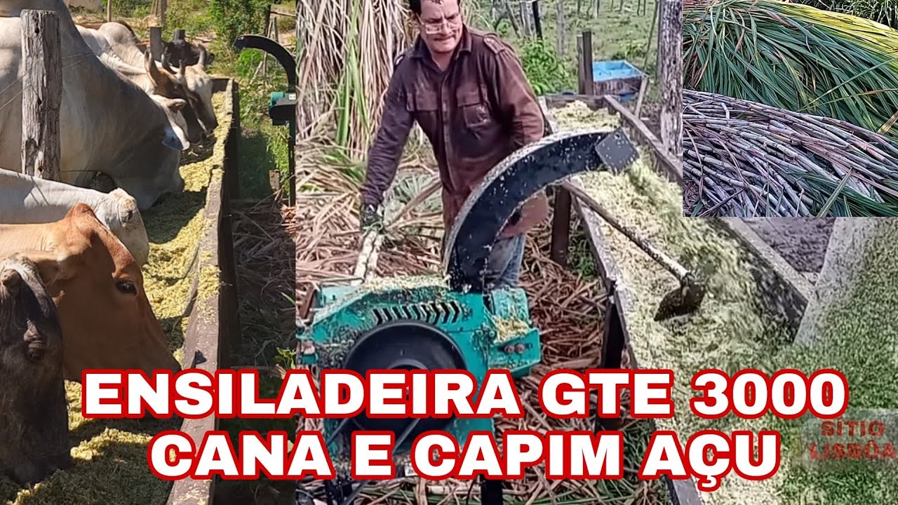ENSILADEIRA GTE 3000, PRODUÇÃO DE CANA E CAPIM AÇU.