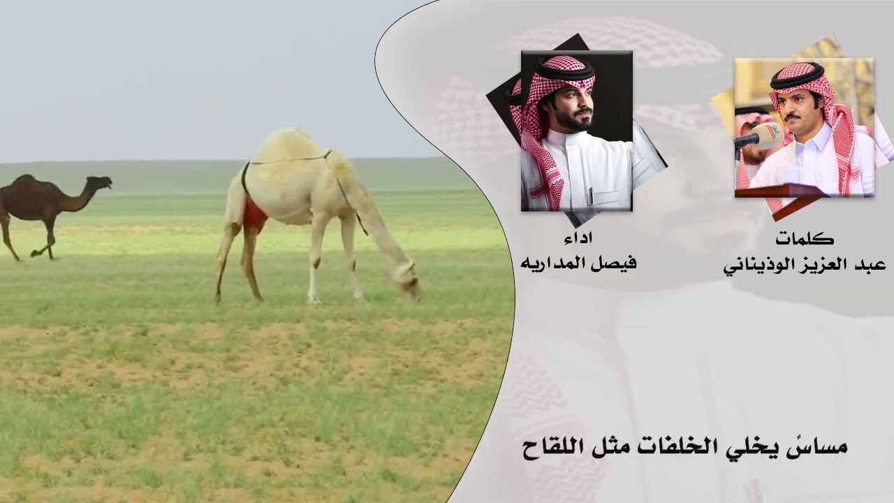 يامجاذب الصوت - فيصل المداريه | (حصرياً) 2024