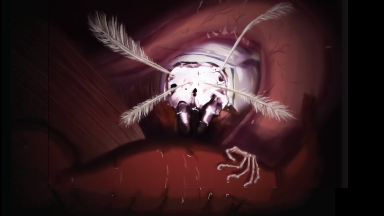 The Fauna of Mystery Flesh Pit National Park - A Field Guide