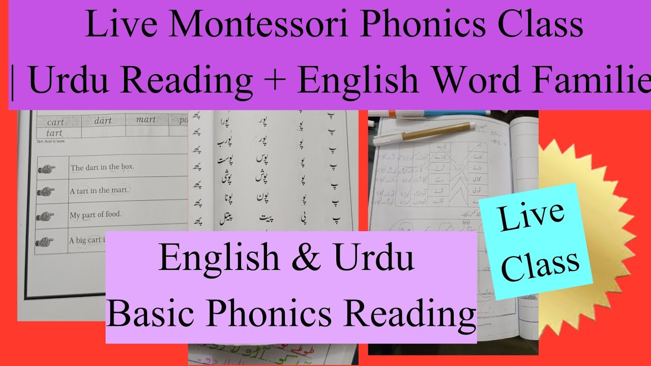 Basic Urdu Reading/ Sentence making in urdu 