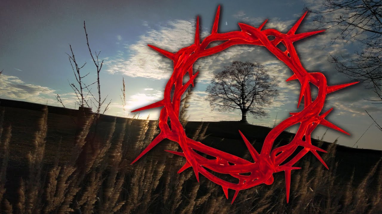 Meeca - TRNOVÁ KORUNA