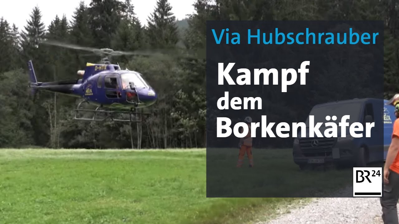 Mit dem Helikopter gegen den Borkenkäfer | Abendschau | BR24
