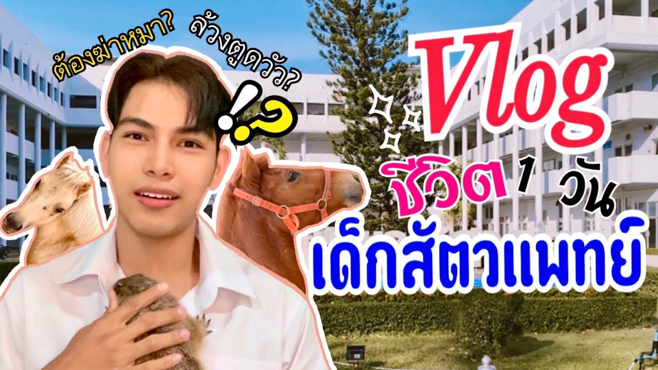 VLOG ชีวิตเด็กสัตวแพทย์ 1 วัน | รีวิว&ตอบคำถามเด็ด #สัตวแพทย์ #มข