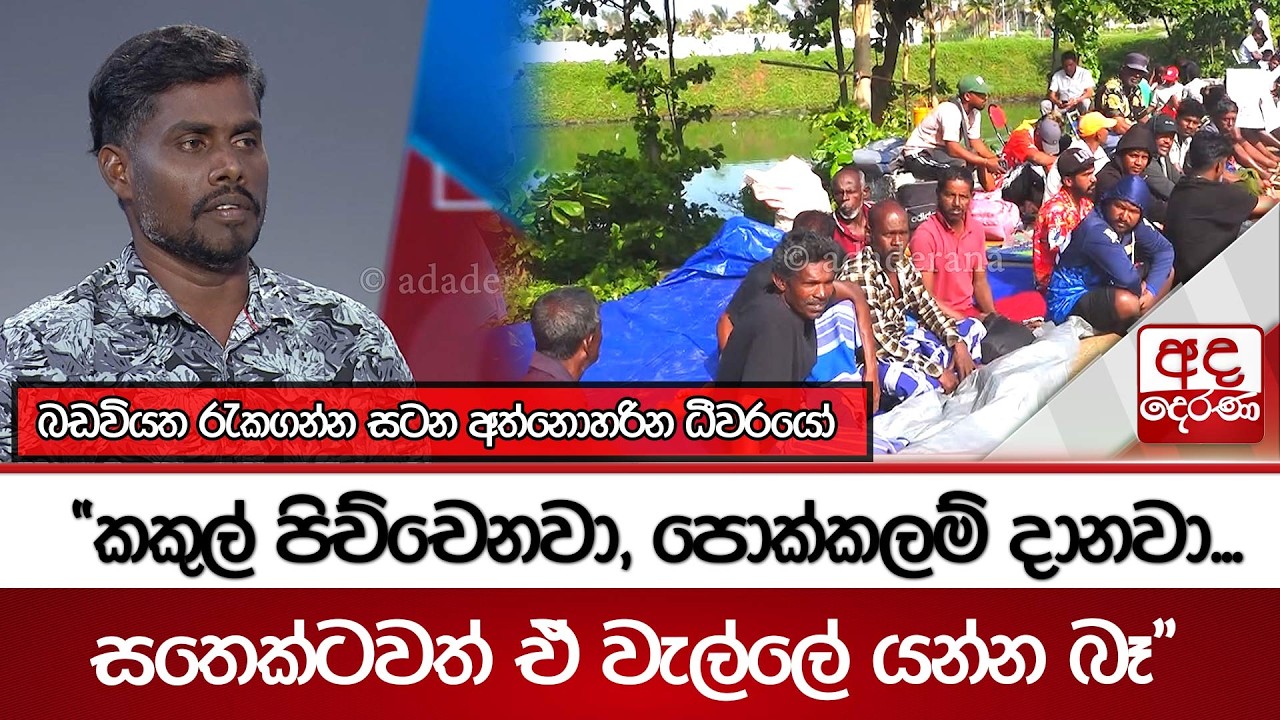 බඩවියත රැකගන්න සටන අත්නොහරින ධීවරයෝ... 