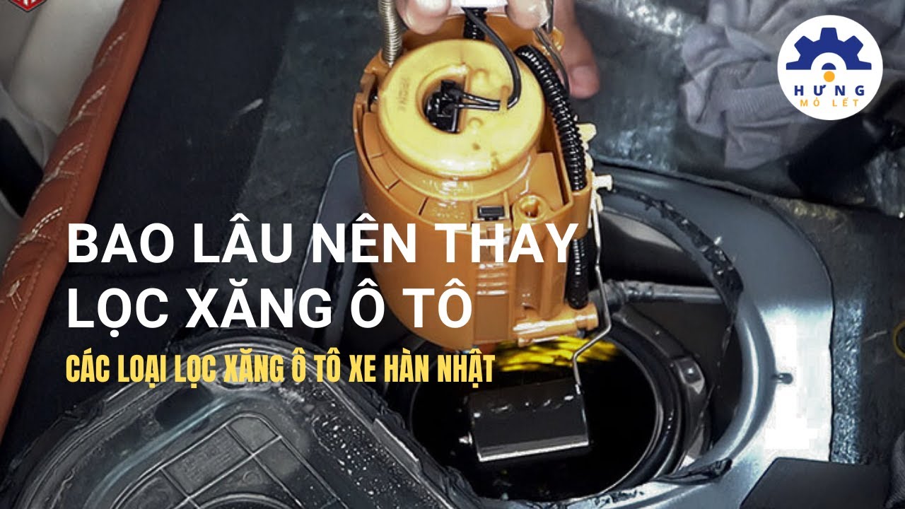 Khi nào và bao lâu thay lọc xăng ô tô các loại lọc xăng ô tô