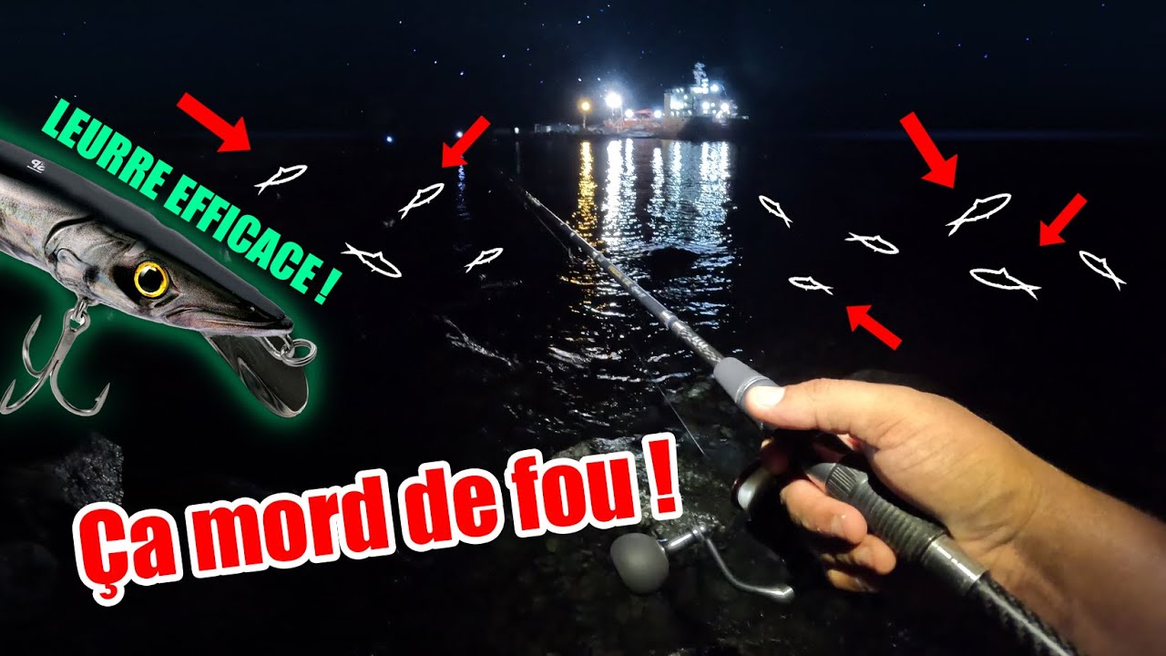 🌙Bienvenue &agrave; Carangue Land : Session p&ecirc;che de Nuit en Martinique 🌴🐟