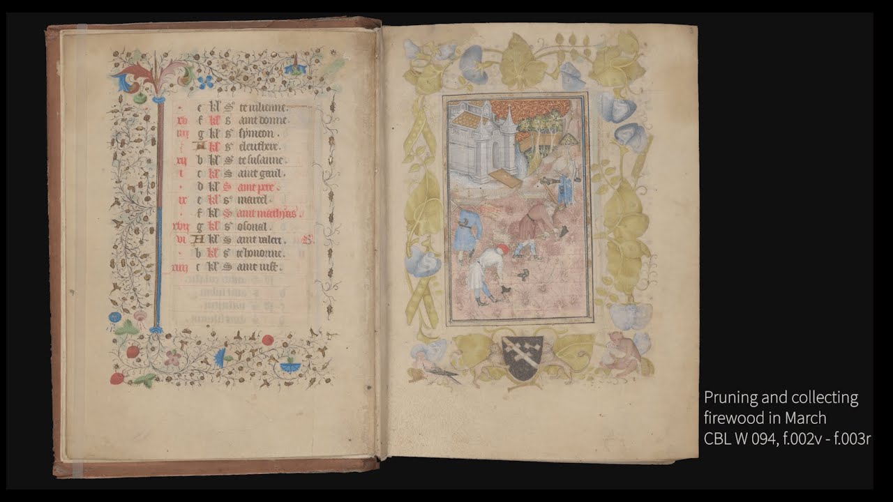 The Hamilton Field Book of Hours - Object in Focus with Dr Jill Unkel