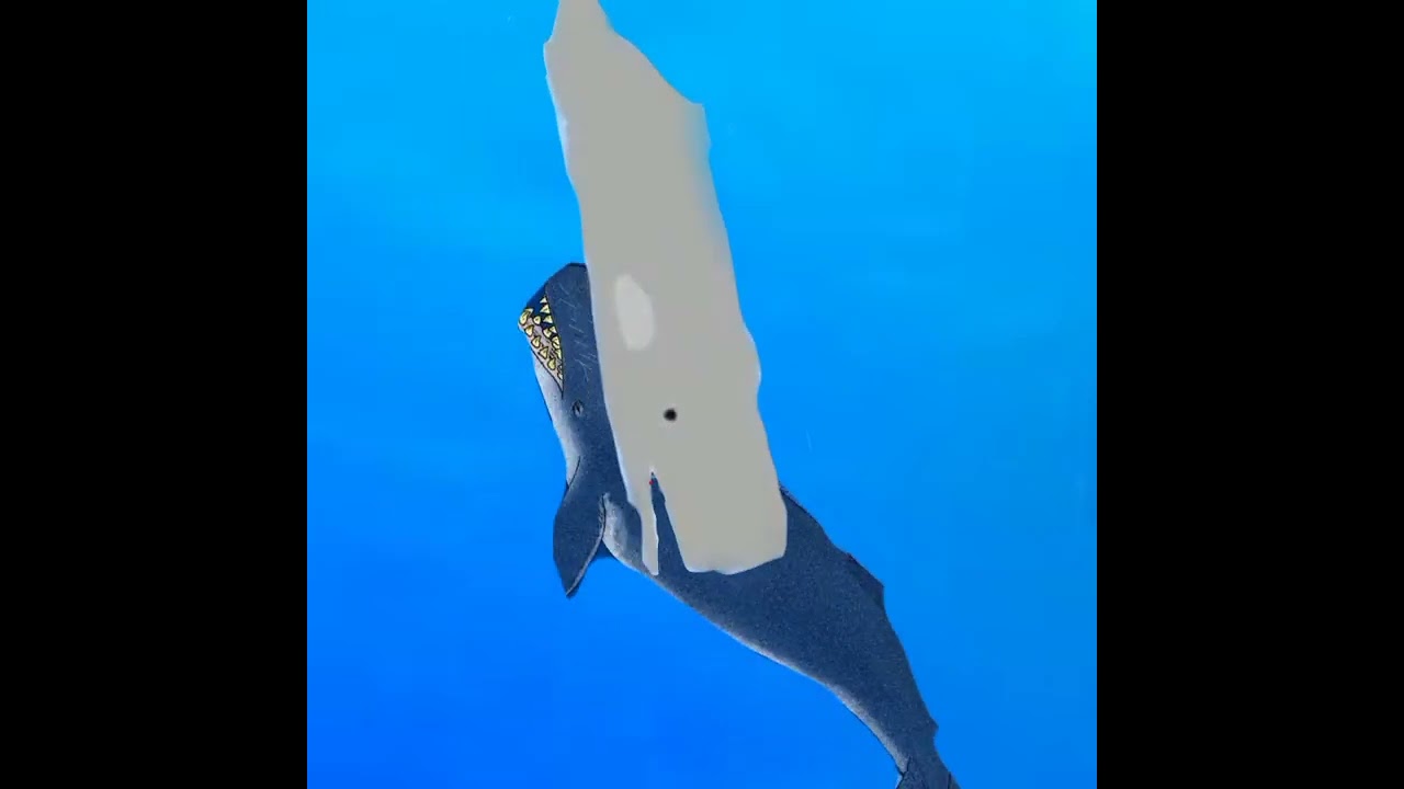 cachalote ( sperm whale ) vs livyatan melvillei ) (perdon por no subir videos ;( )