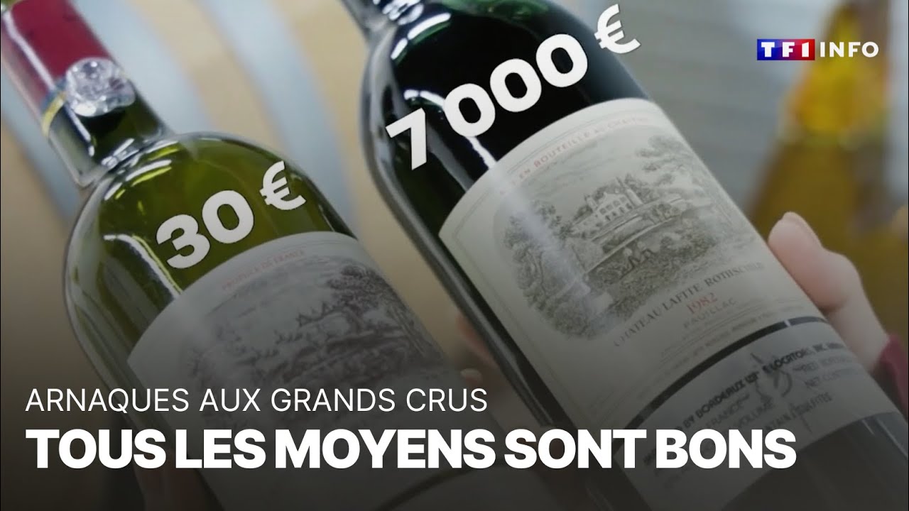 Arnaques aux grands crus : tous les moyens sont bons｜TF1 INFO
