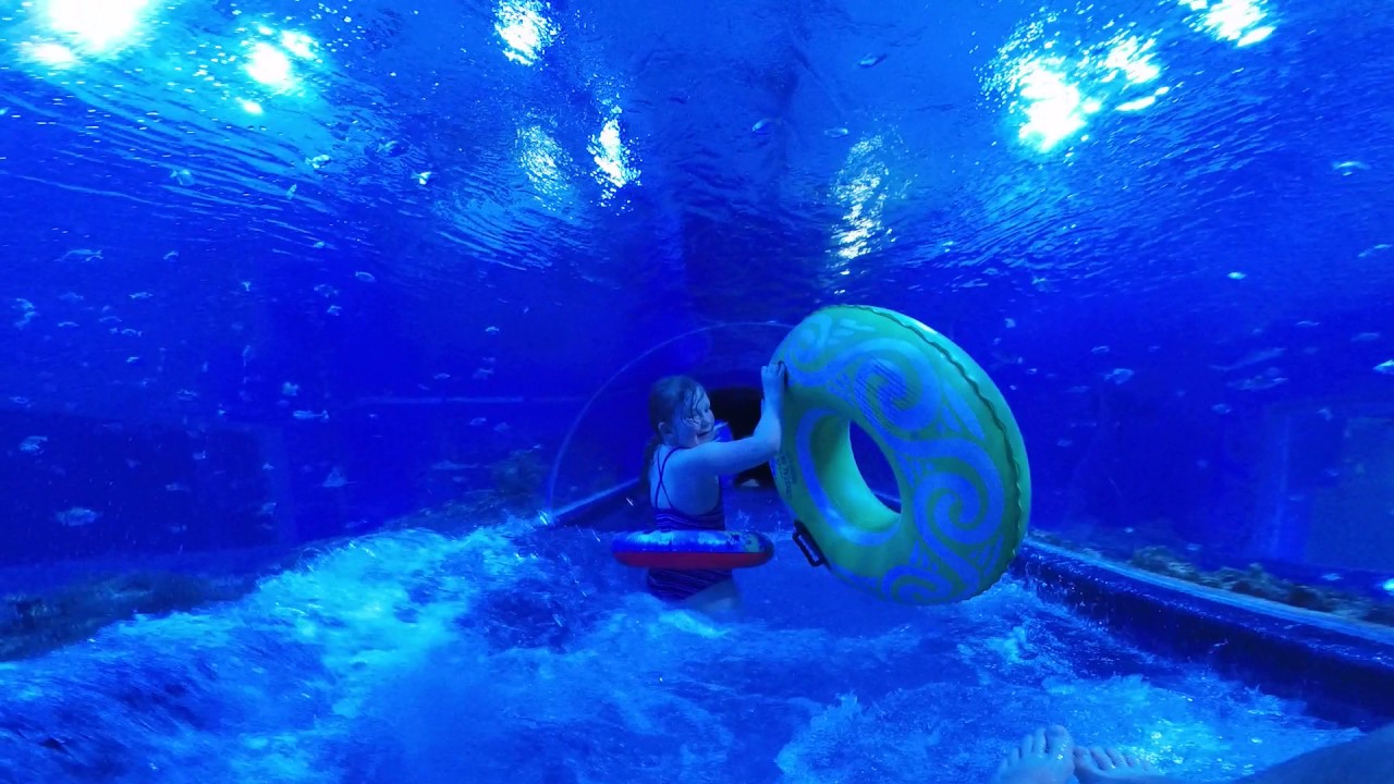 Aquapark Reda Shark Slide