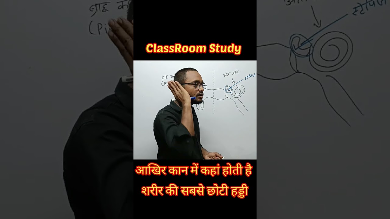 Location of Stapes Bone, Parts of Ear कान के भाग 
