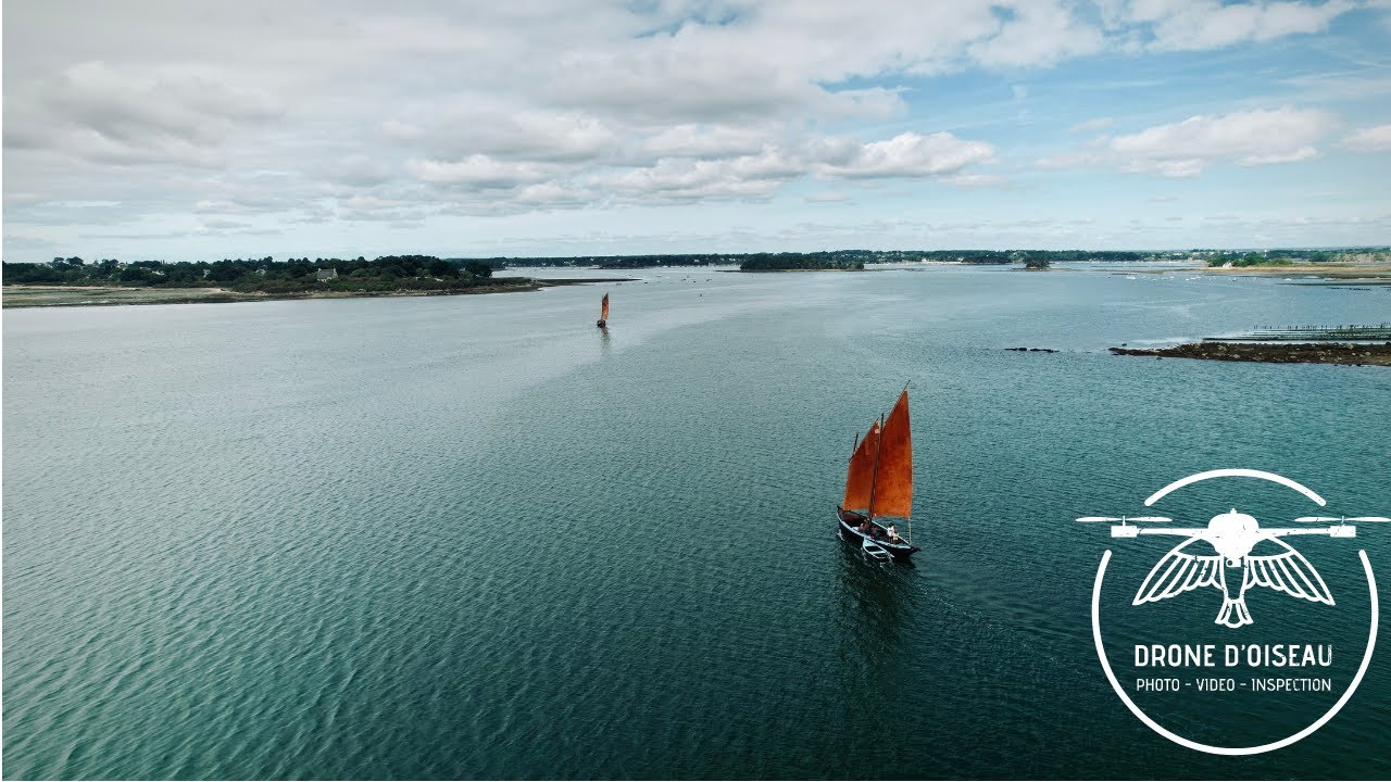 Drone d'Oiseau - Golfe du Morbihan