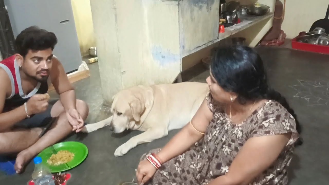 ମାମି ବାବୁ କଣ କଥା ହଉଛନ୍ତି 🤔।। Like share comment subscribe please my channel 🙏♥️।।