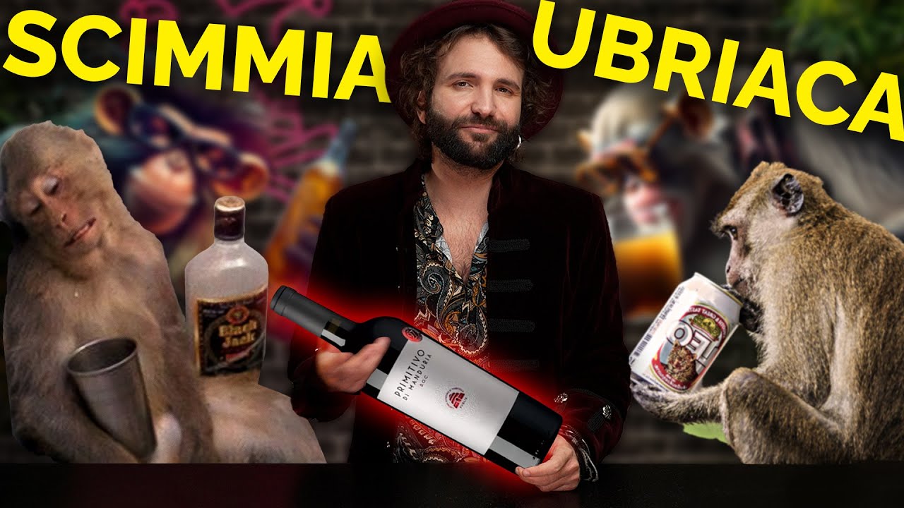 La teoria della SCIMMIA UBRIACA