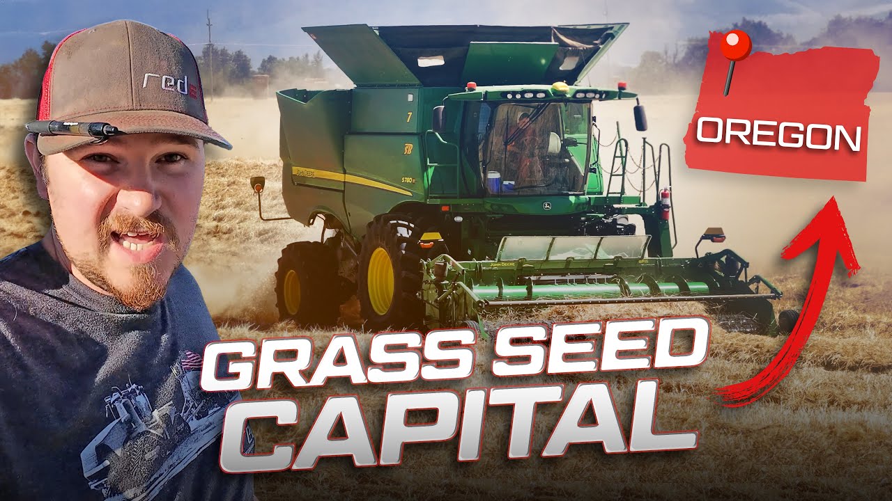 Oregon's Grass Seed Harvest is Massive!