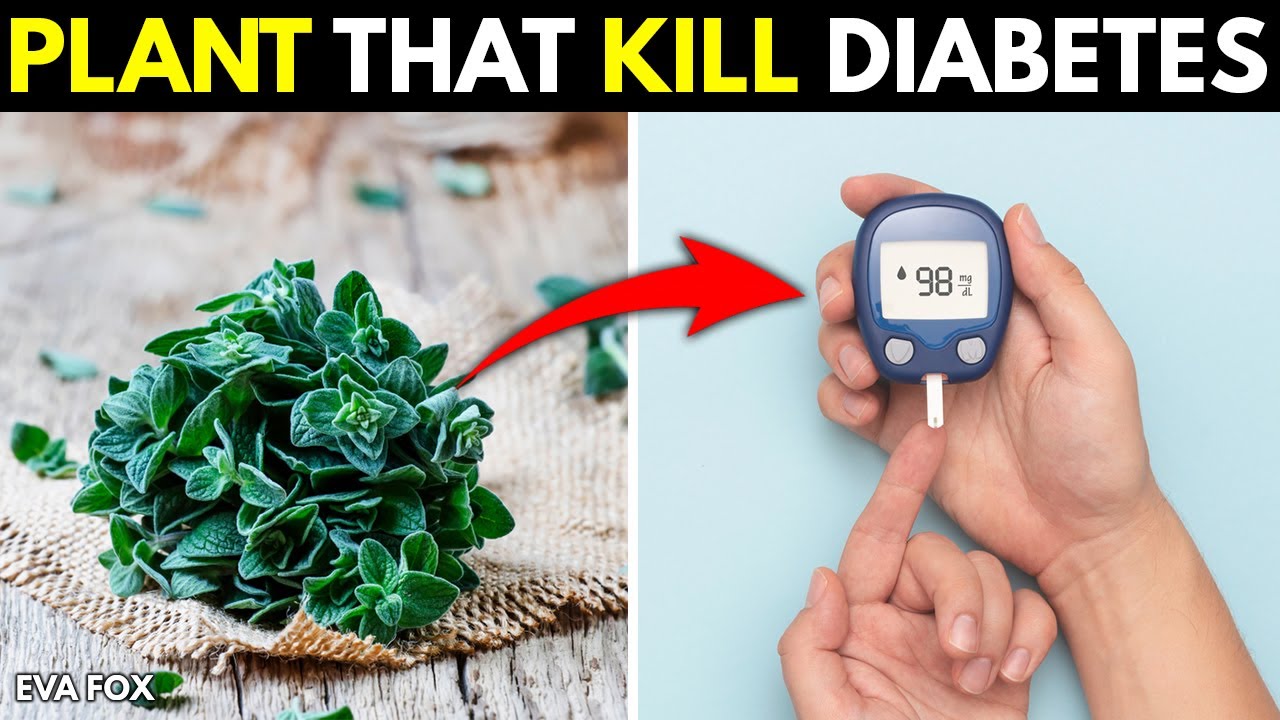 4 Super Herbs that Prevent and Cure Diabetes