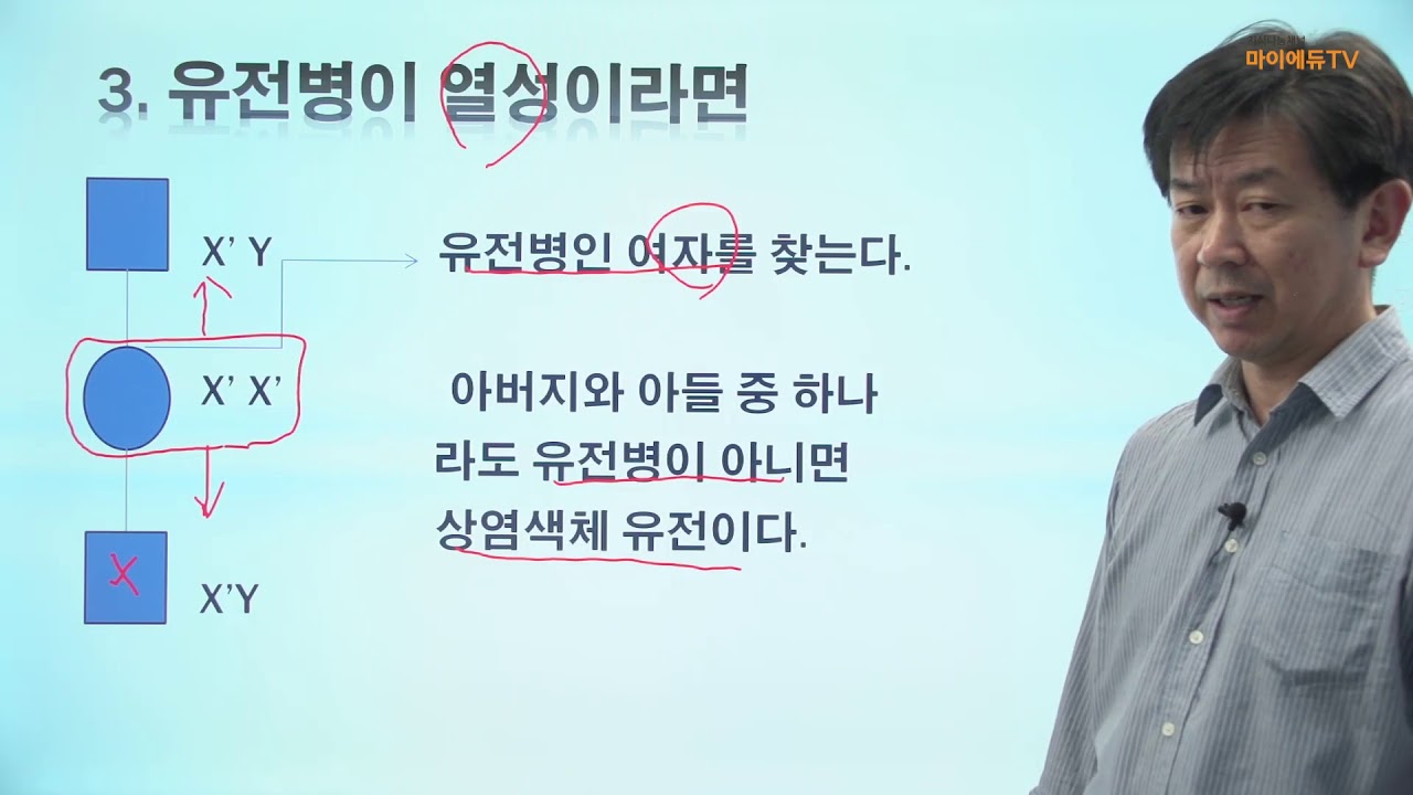 가계도