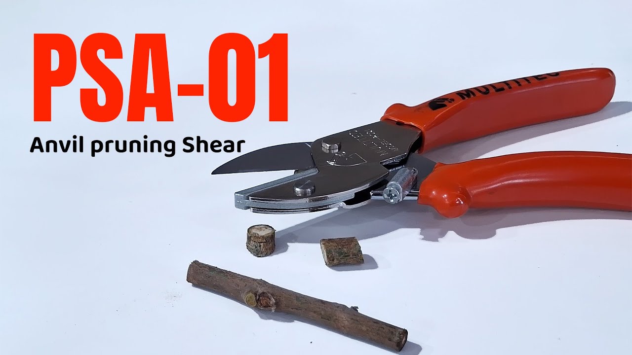 PSA-01 Anvil Pruning Shear Review | Best Tool for Tough & Dry Branches 🌿✂️
