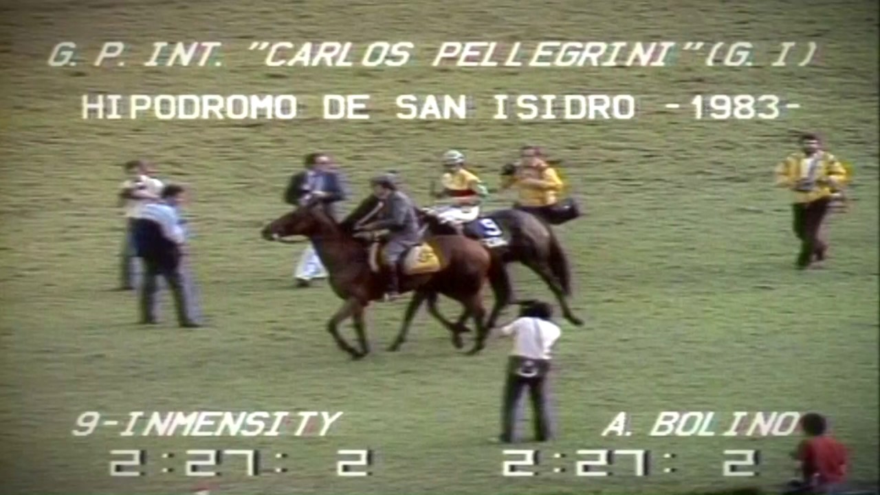 1983 GP CARLOS PELLEGRINI  INMENSITY - A BOLINO