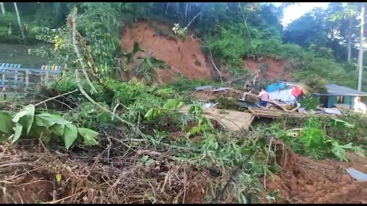 Hay 150 derrumbes en diferentes vías de San Carlos - Teleantioquia Noticias