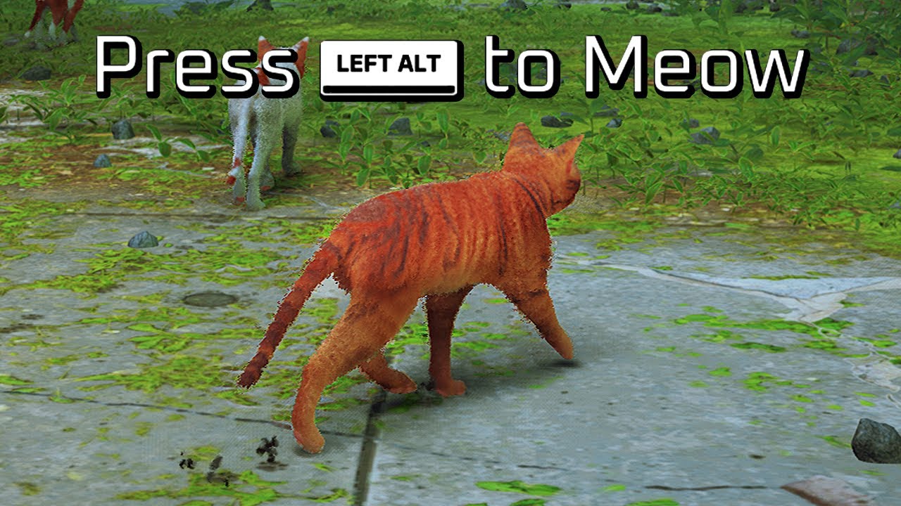 Stray spelet där du ÄR en KATT!