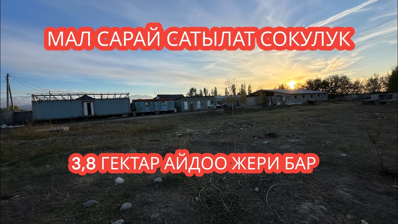 МАЛ САРАЙ САТЫЛАТ СОКУЛУК 2023