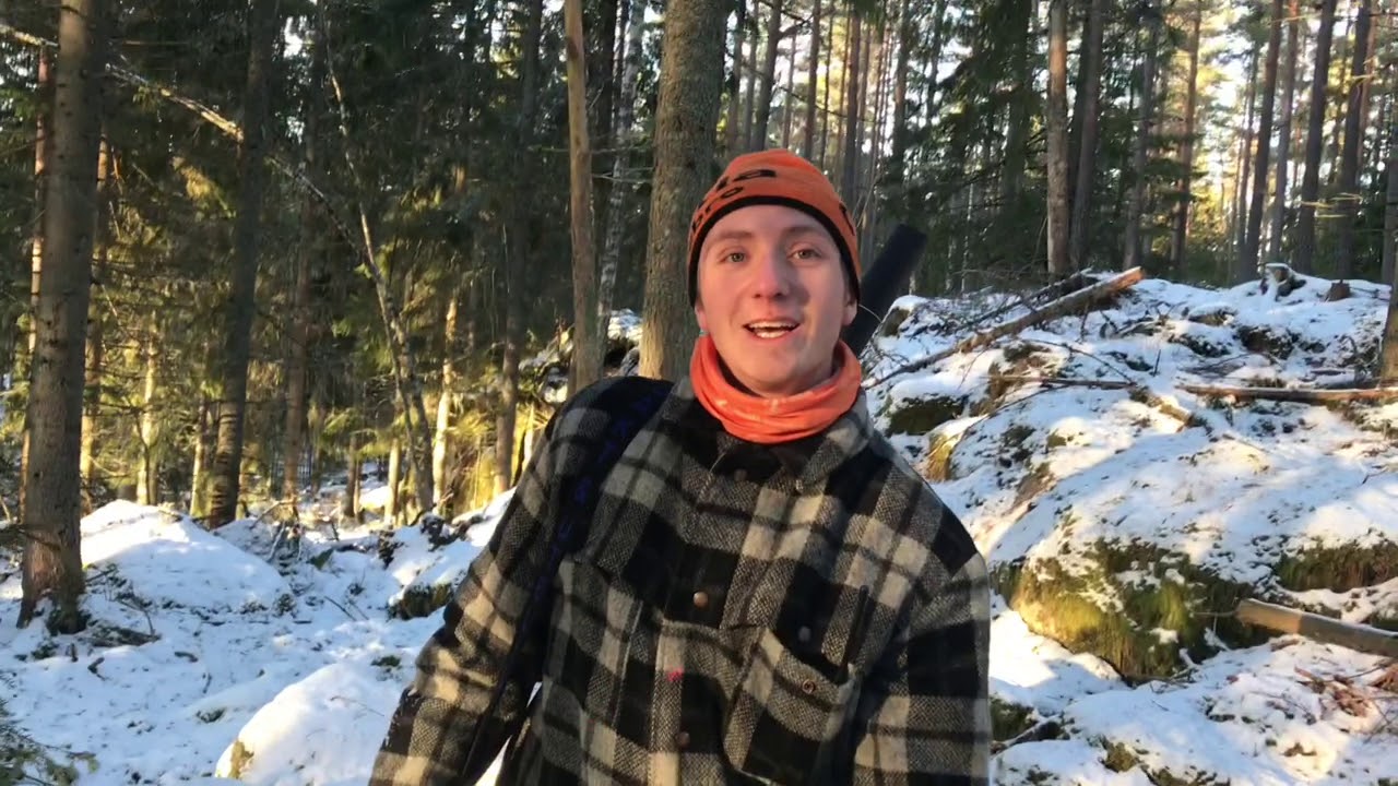 Dovhjortsjakt På Åtvidaberg
