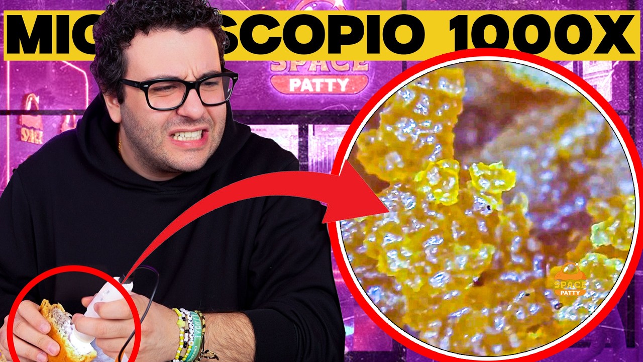 SPACE PATTY AL MICROSCOPIO 1000X CON LOCO ! - *INCREDIBILE*