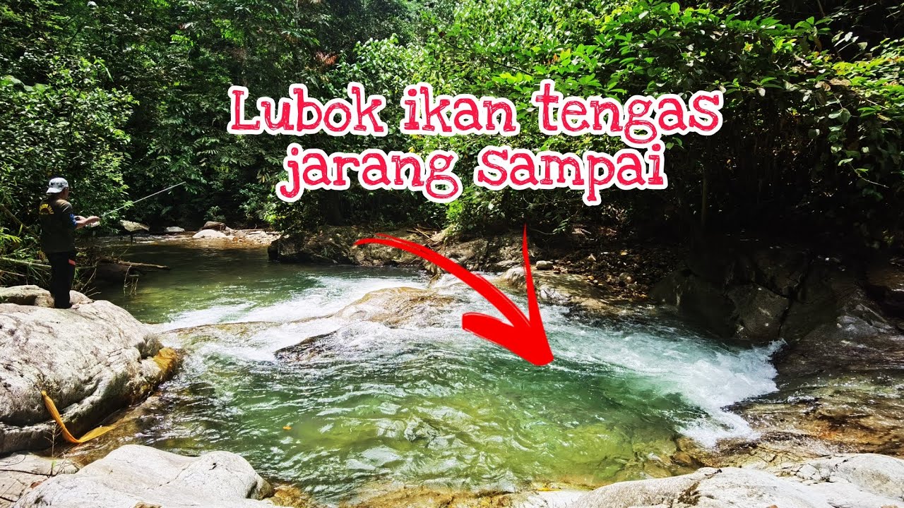 Ikan tengas air terjun batangkali yang jarang org pergi