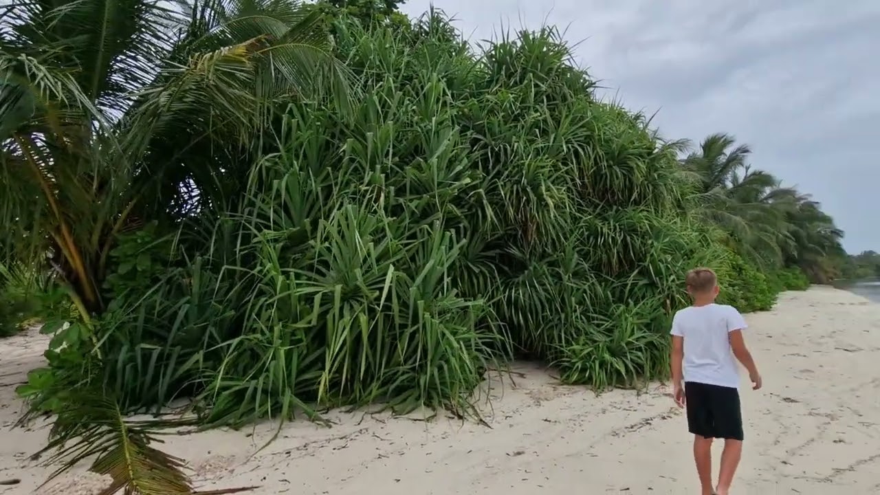 Попали в шторм! Остались на острове Гойду (Goidhoo). Maldives🇲🇻. Мальдивы ❤️