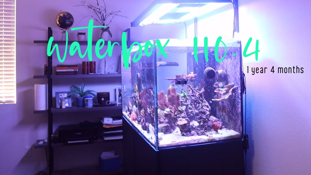 Wateberbox Marine X 110.4 1 year 4 months Update
