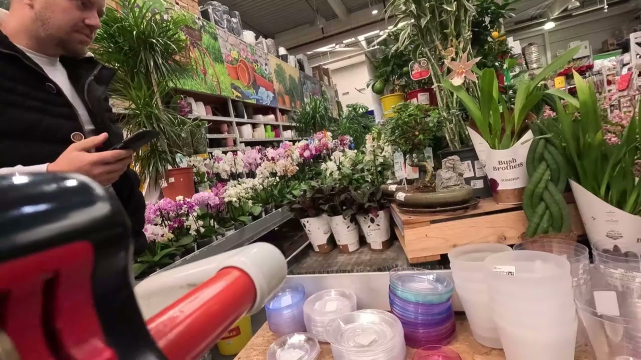 Купихме си Bonsai от HomeMax Варна