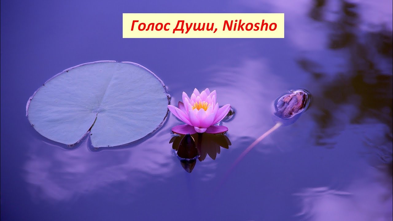 Стихи, Автор [Nikosho]-Голос Души 2018, озвучивает [Nikosho]
