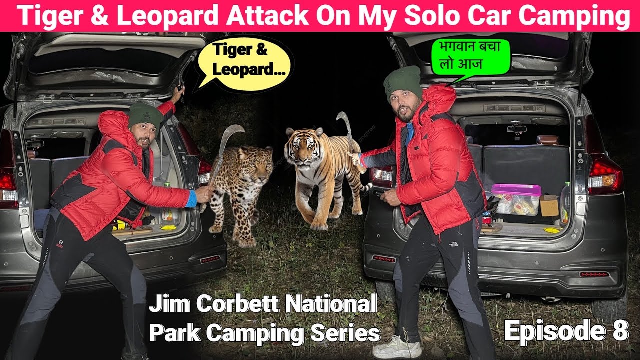 Tiger & Leopard Attack on Solo Camping In Jim Corbett | Corbett Haritage Gate | Episode 8 #camping