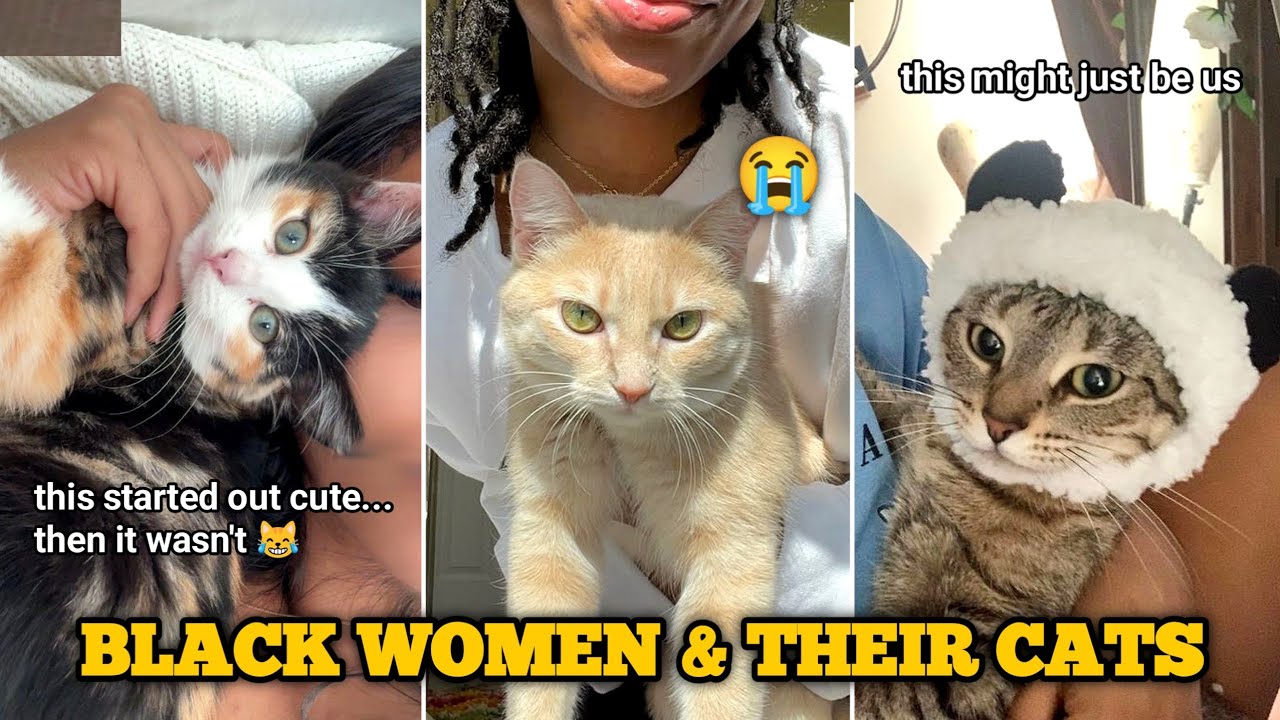 Black Women & Their Cats | Funny TikTok Compilation 2025 #catlovers #cats #cat