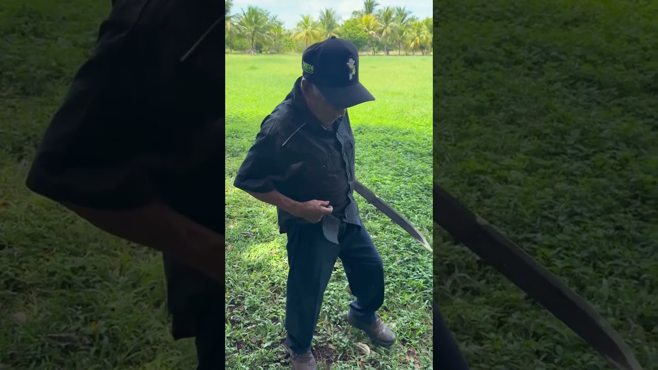 Mechito y las mujeres de la vida alegre 🤠