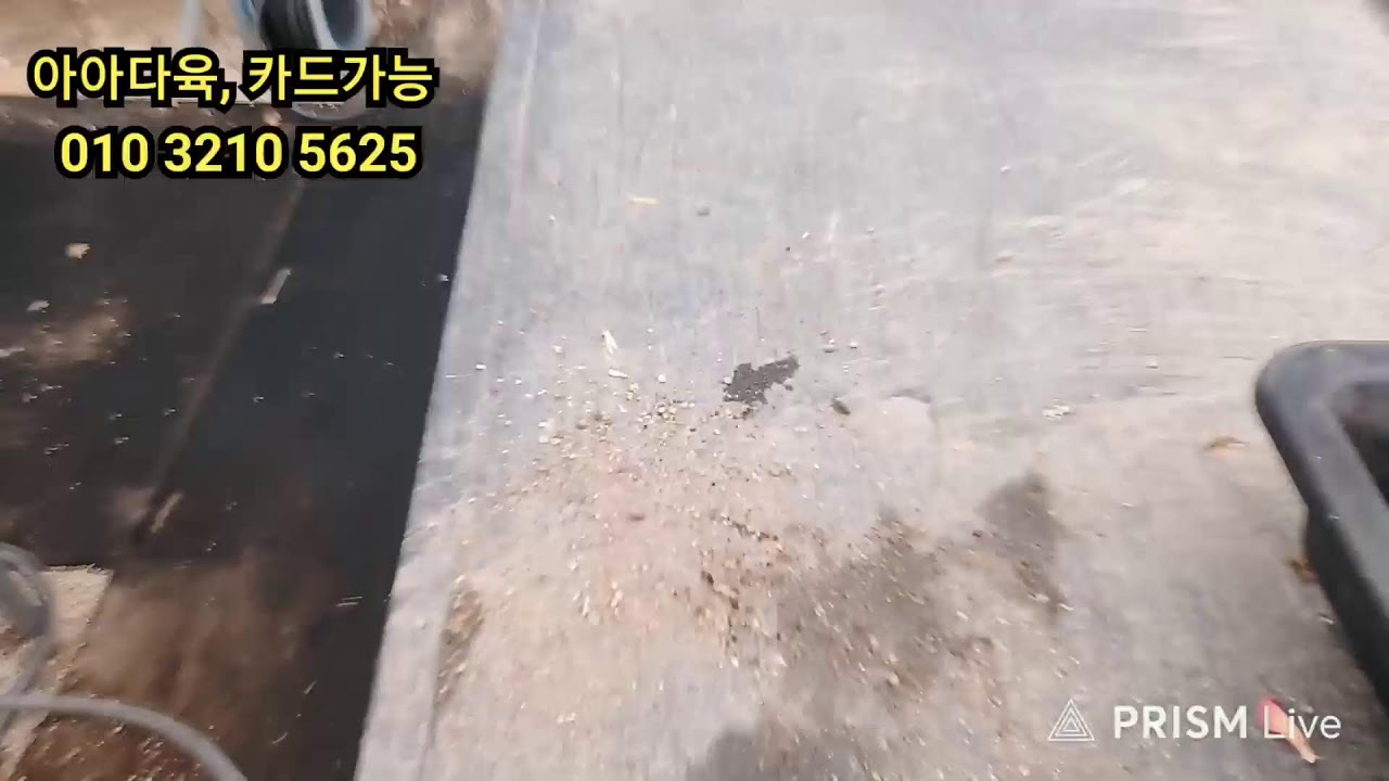 3 월15일     ~굿모닝~~~~