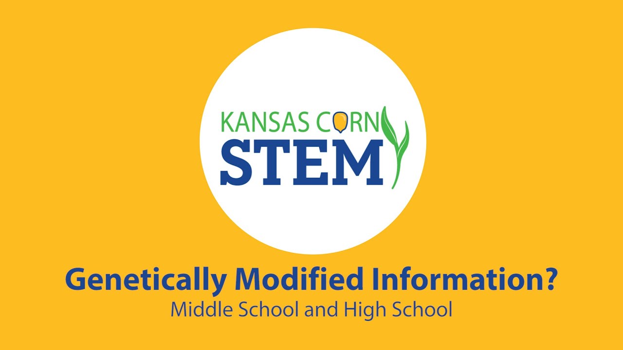 Genetically Modified Information?, Seed to STEM Middle and High School workshop, led by Lacey Fair