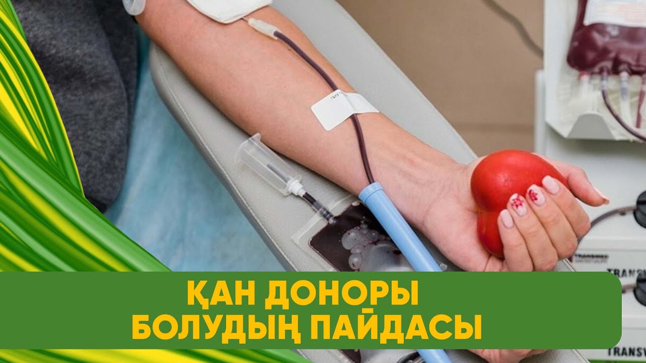 Қан доноры болудың пайдасы